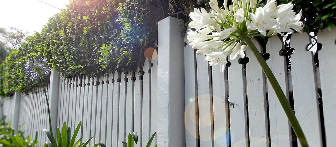 white-picket-fence-in-front-of-a-home-garden-2022-11-15-16-41-35-utc